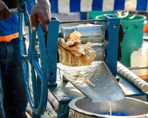 Sugarcane Jaggery